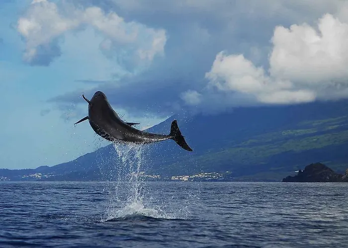 Casa vacanze Casa De Basalto Lajes do Pico